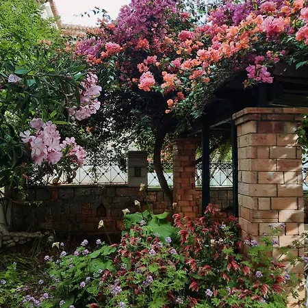 Veneto's Garden